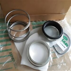 Sullair 250018-456 Minimum Pressure Valve Service Kit By Air Compressors Parts China Genuine Supplier